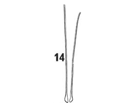 Macrostomum minutum Fig 14.jpg